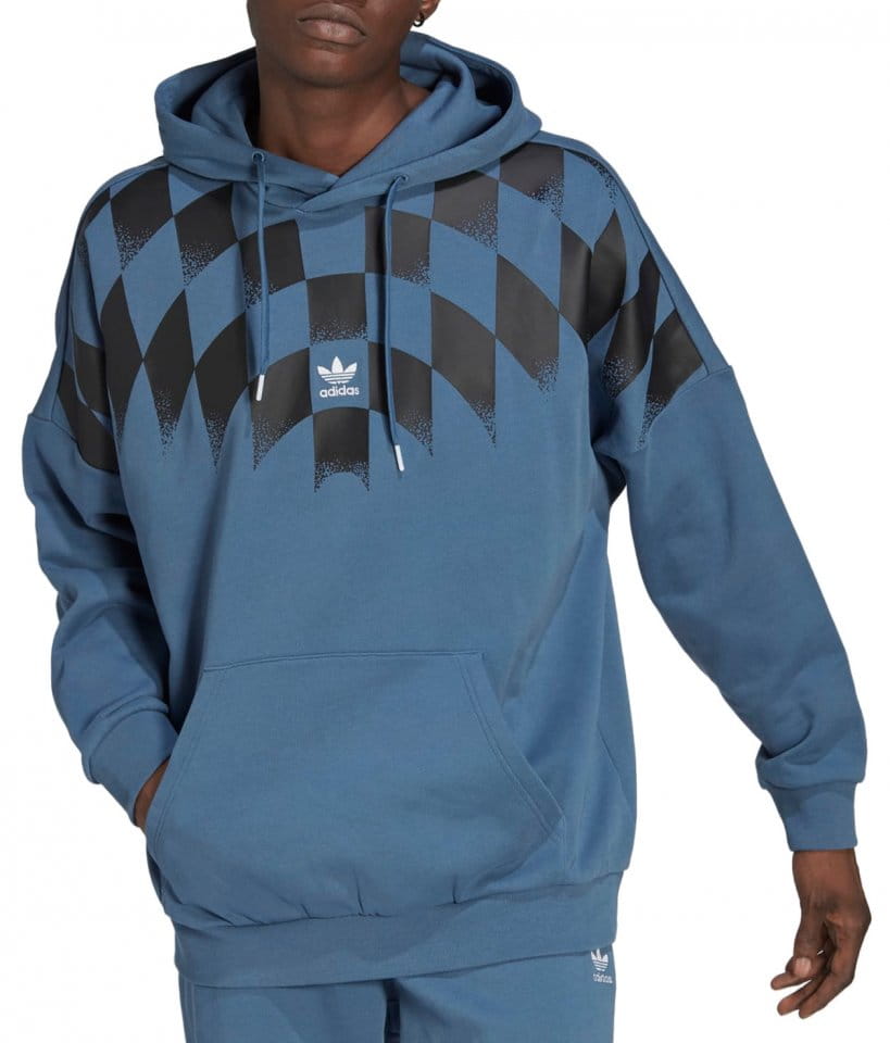 Sweatshirt met capuchon adidas Originals Rekive Graphic